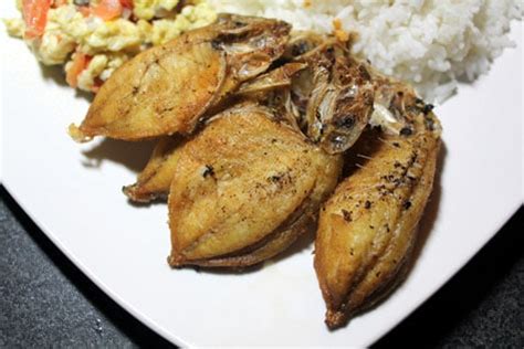 samaral fish|Ay kay Layo ng Lamayo! .